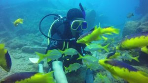 Deportes extremos Buceo