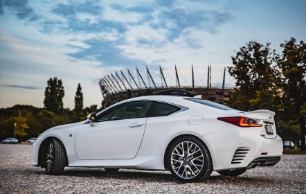 Lexus blanco: Runt por placa