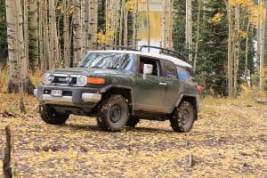 Autos blindados: todoterreno en el bosque