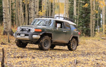 Autos blindados: todoterreno en el bosque