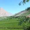 Valle del Elqui. La Serena. Chile