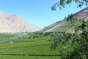 Valle del Elqui. La Serena. Chile