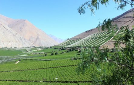 Valle del Elqui. La Serena. Chile