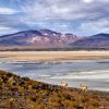 Desierto de Atacama