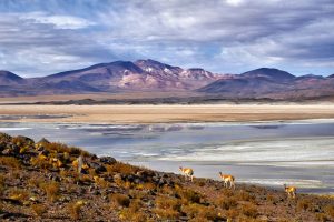 Desierto de Atacama