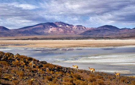 Desierto de Atacama